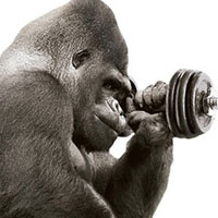 Corning Gorilla Glass Contests